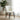 Capri Dining Chair