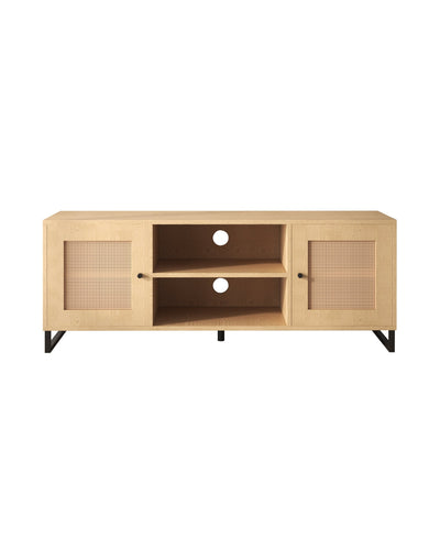 Aykah cane Lyra Media Unit, front view